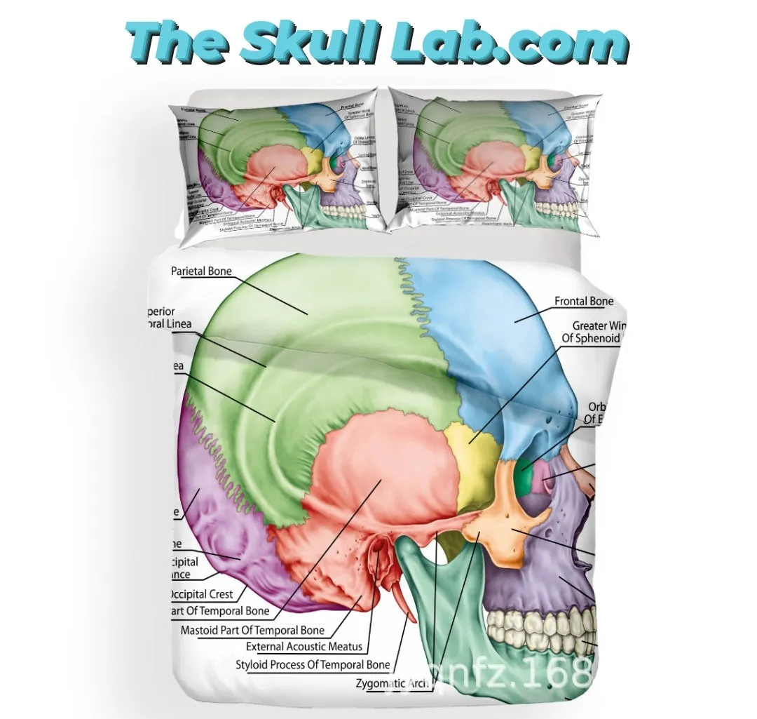 3D Digital Printed Skull bedding Cranial Graph