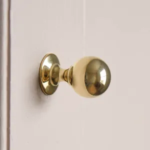 Polished Brass Penrose Cabinet Knob